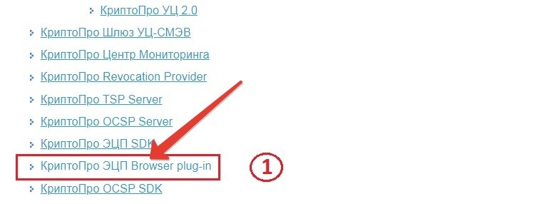 Скачиваем загрузочный файл ЭЦП Browser plug-in